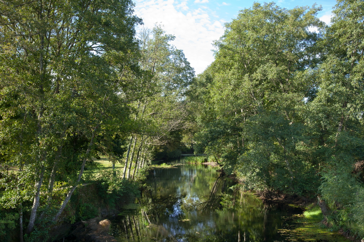 Vistas de la parcela