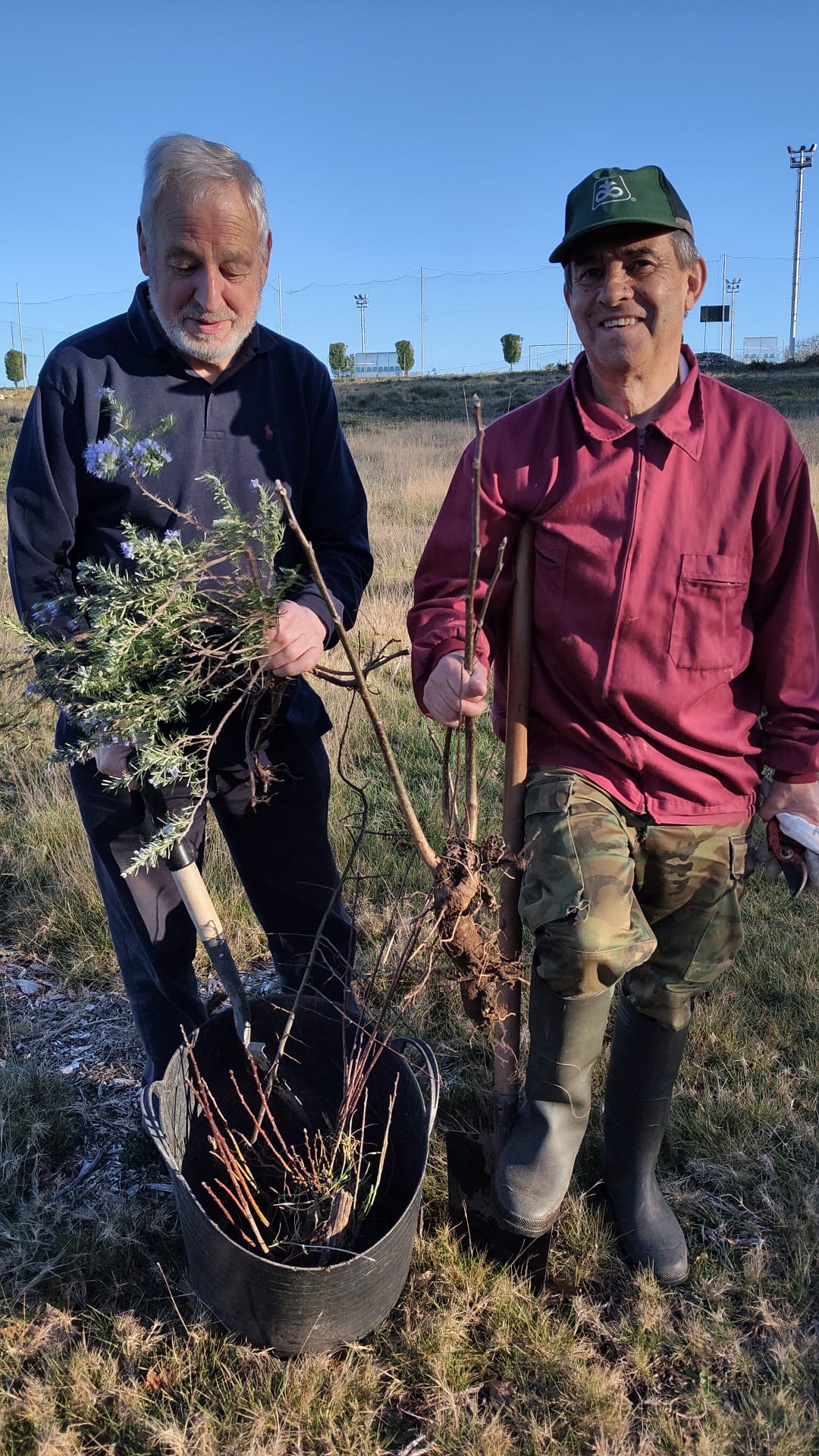 50 árboles plantados Marzo 2026